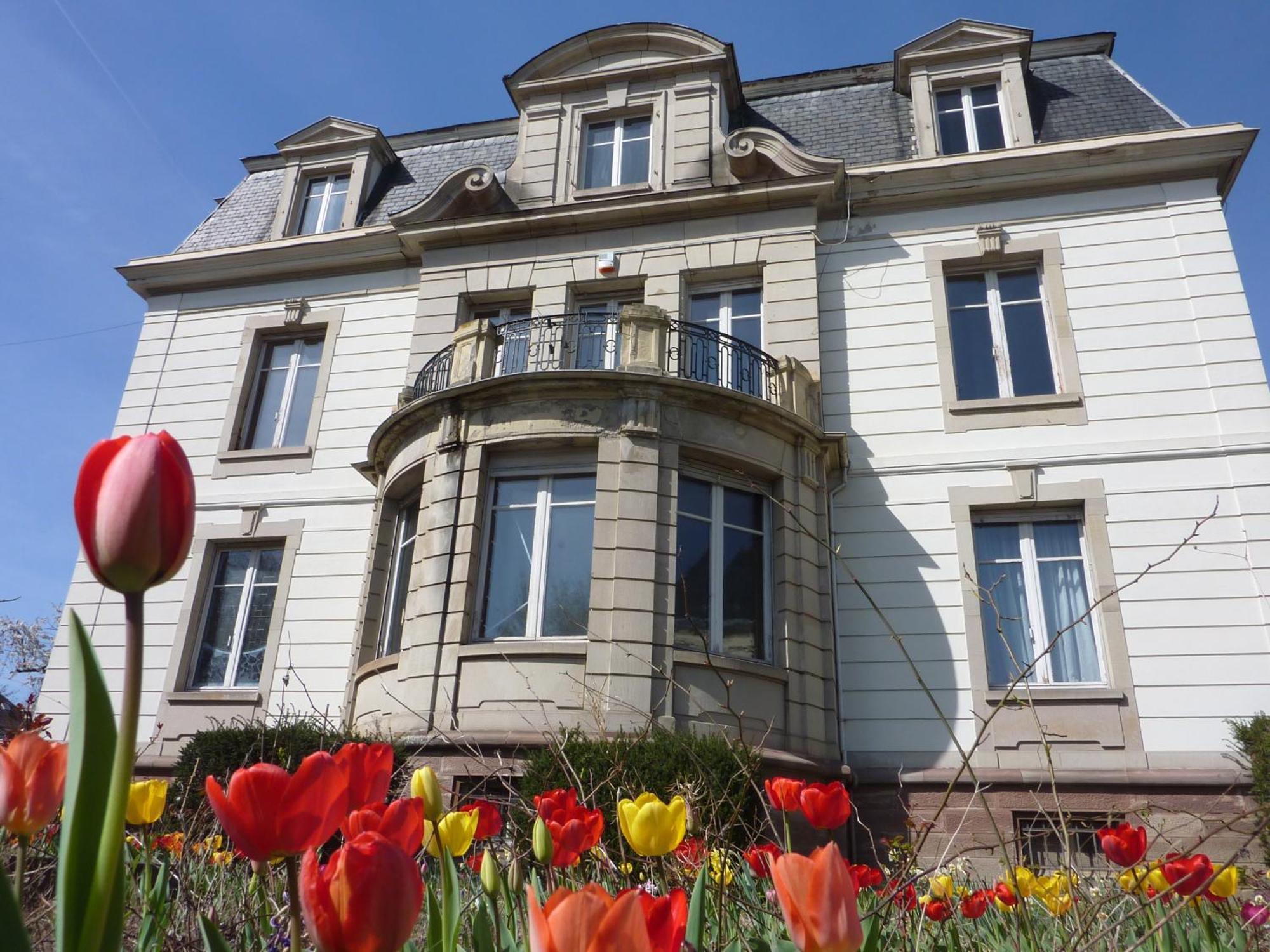 Villa Elyane Colmar Ngoại thất bức ảnh